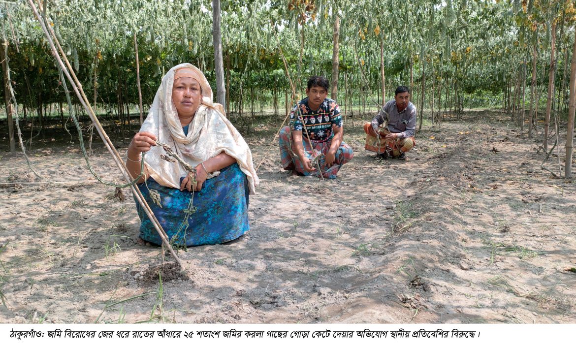 Thakurgaon Pic
