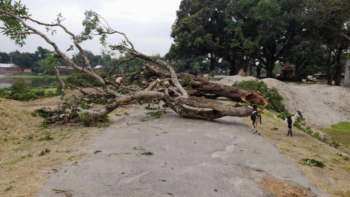 received_1663228001082843